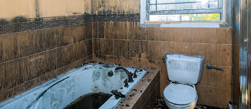 Residential Water Damage Restoration in Woodhill, Brampton