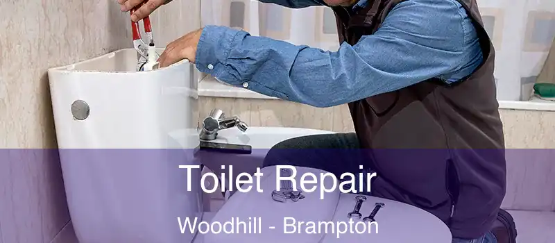 Toilet Repair Woodhill - Brampton