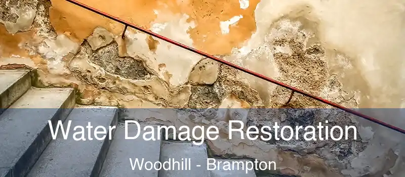 Water Damage Restoration Woodhill - Brampton